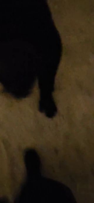 i_1280p_20260309_123039.mp4