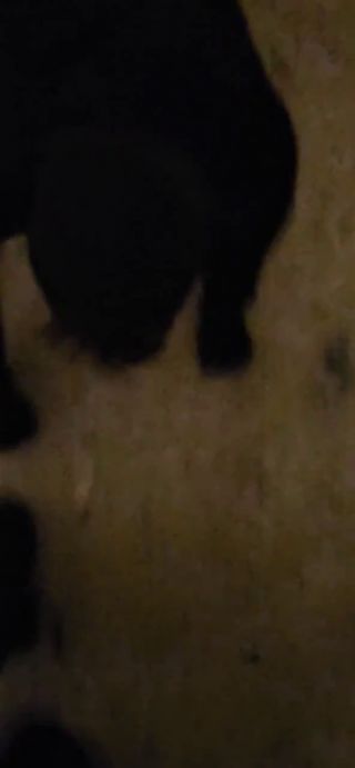 i_1280p_20260309_123039.mp4