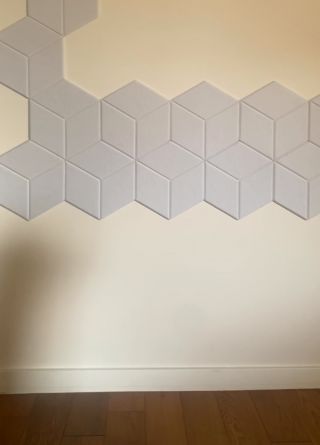 Chloptas_77