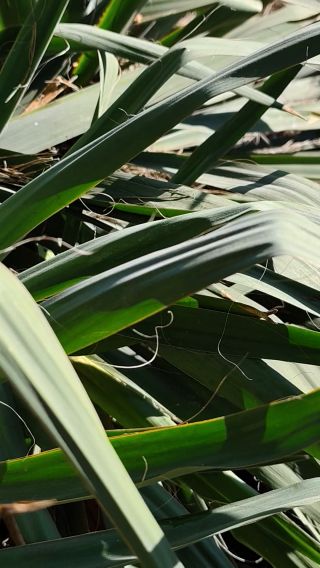1000012780.mp4