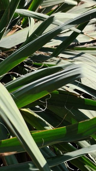 1000012780.mp4