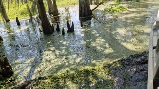 20250606_160341.mp4