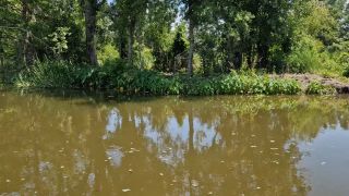 20250606_141934.mp4