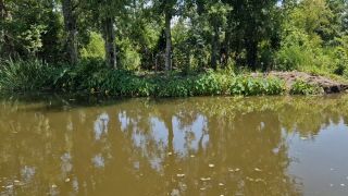 20250606_141934.mp4