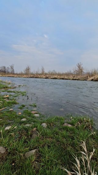 2.04.2026 Stadła