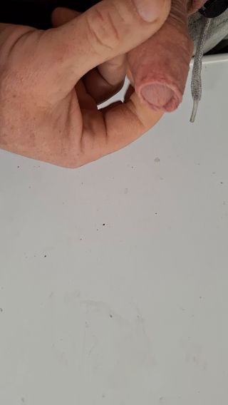 3f7a1614-fe8c-4894-b0d0-5dd2de6c129f-1_all_576.mp4