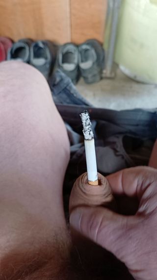 pilos55