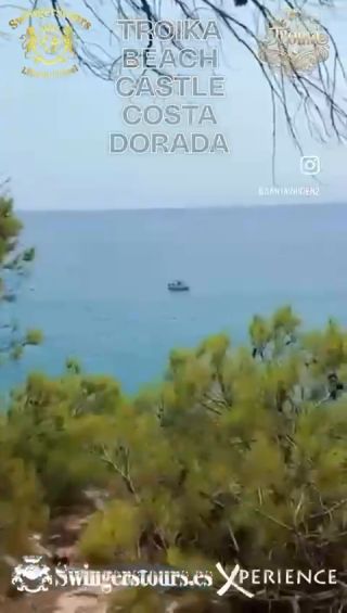 WhatsApp Video 2026-04-08 at 13.06.07.mp4
