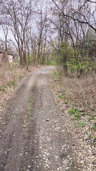 1000002871.mp4
