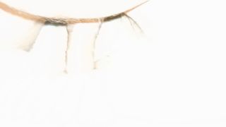1000006752.mp4