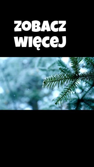 wojciur
