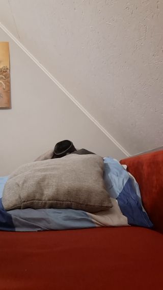 Kamilt8h