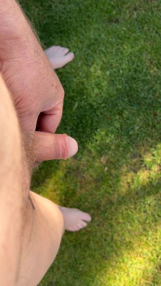 IMG_6553.mov