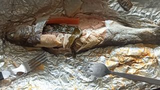 VID_20260501_141210.mp4