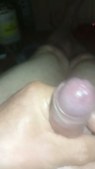 Chujek1131w