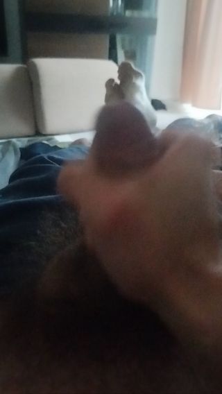 Ravcio98