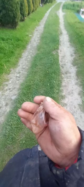 20260513_191625.mp4