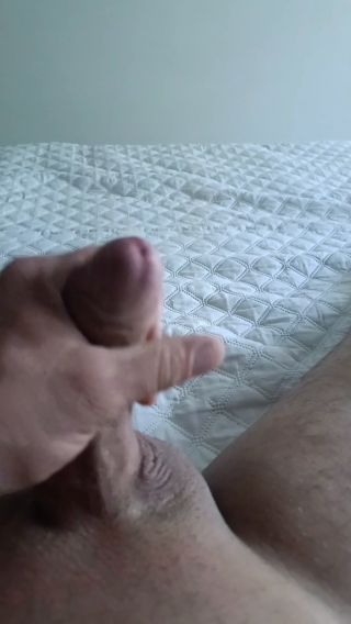 3385.mp4