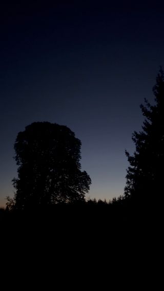 TeNQrek