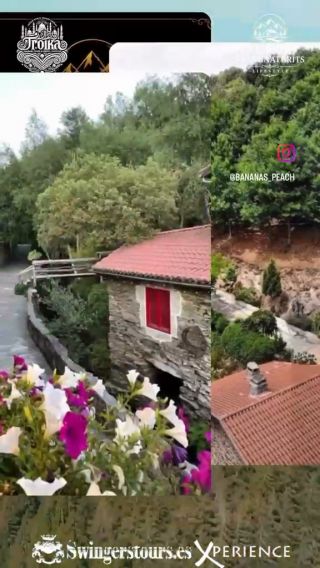 WhatsApp Video 2026-05-25 at 17.48.23.mp4