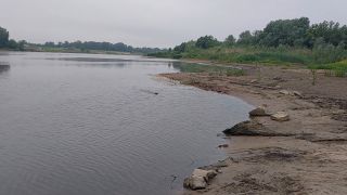 20260603_055319.mp4