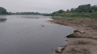 20260603_055319.mp4
