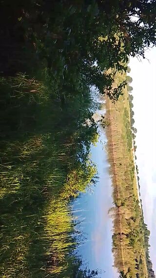 1000022830.mp4