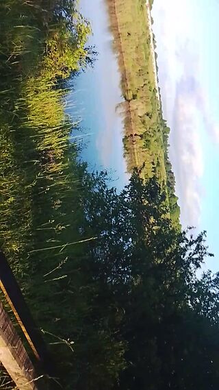 1000022830.mp4