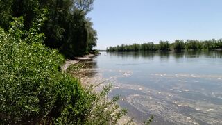 VID_20220510_105426.mp4