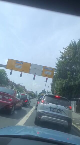 Robertocavallii