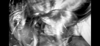 65cded2c6b6d4f2295d5b7663001e243.mp4