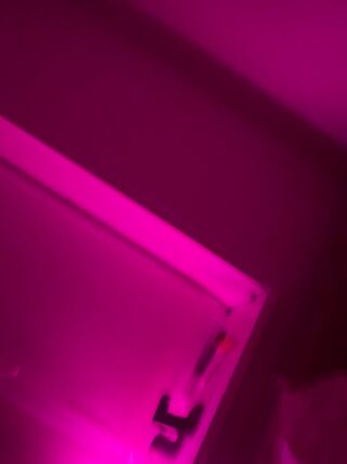 IMG_9037.mov