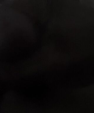 IMG_1355.mov