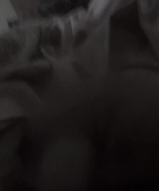 IMG_1355.mov