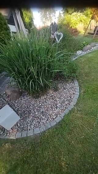 1000020544.mp4