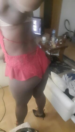 OniJegoTrans