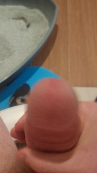 Kacper6354
