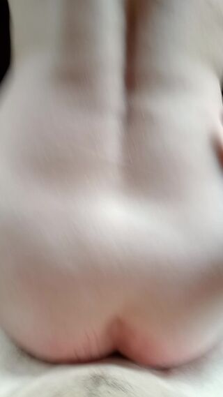_RAMZI