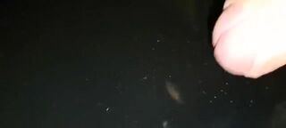 Pan95