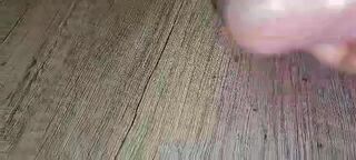Pan95
