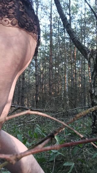 assbi37