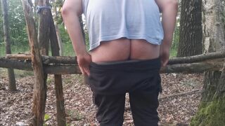 passi89