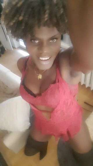OniJegoTrans