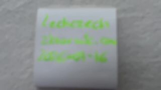 Lechczech