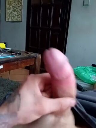 Grosssokutas