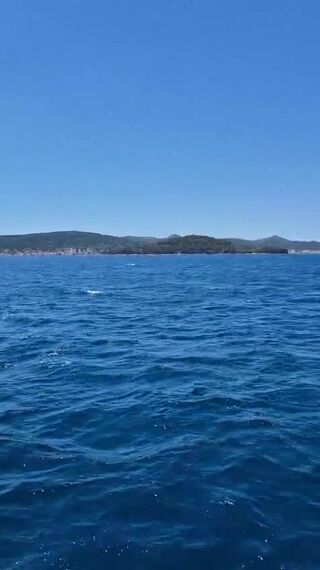 Skiper75