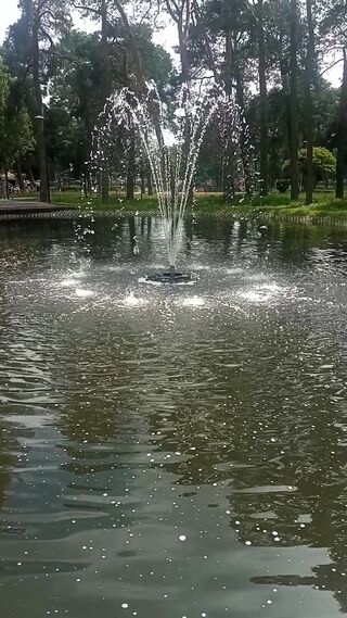 VID_20260729_140248.mp4