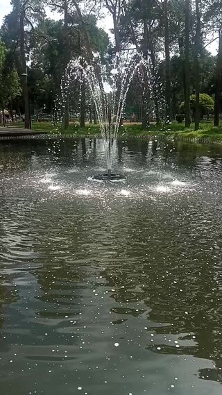 VID_20260729_140248.mp4