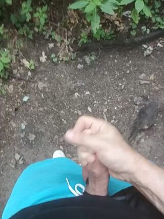 duzo_pytan42