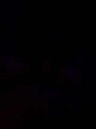 LIVE - 2026-07-29 05:37